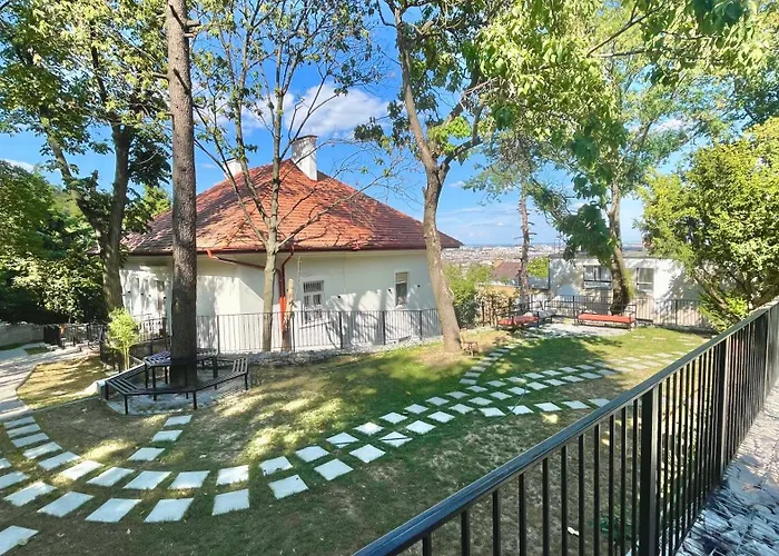 Oasis *